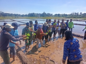 Syukur Tanpa Henti: Doa untuk Hasil Panen Padi dan Jagung yang Berlimpah