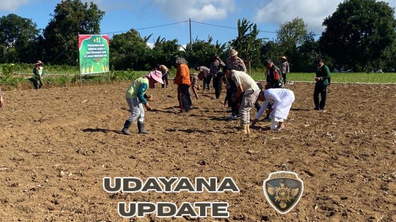 Sinergi TNI, Polri, dan PT BISI: Tanam Jagung Serentak Demi Pangan Berkelanjutan 2025