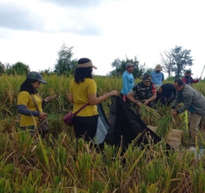 Babinsa Tihingan Jadi Ujung Tombak Keberhasilan Pengubinan dan Hanpangan Wilayah