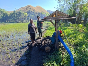 Perkuat Ketahanan Pangan, Babinsa 04/Ende Laksanakan Komsos dan Pengawasan Pertanian di Wilayah Binaan