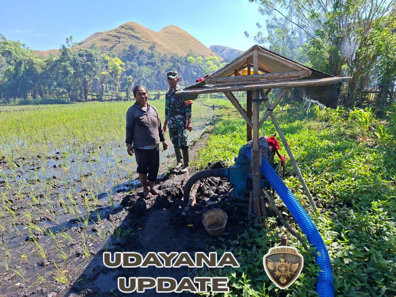 Perkuat Ketahanan Pangan, Babinsa 04/Ende Laksanakan Komsos dan Pengawasan Pertanian di Wilayah Binaan