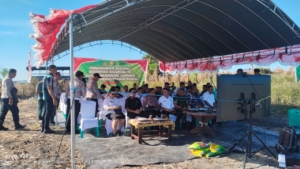 Wujudkan Ketahanan Pangan, Babinsa Koramil Baa Lakukan Penanaman Jagung Massal