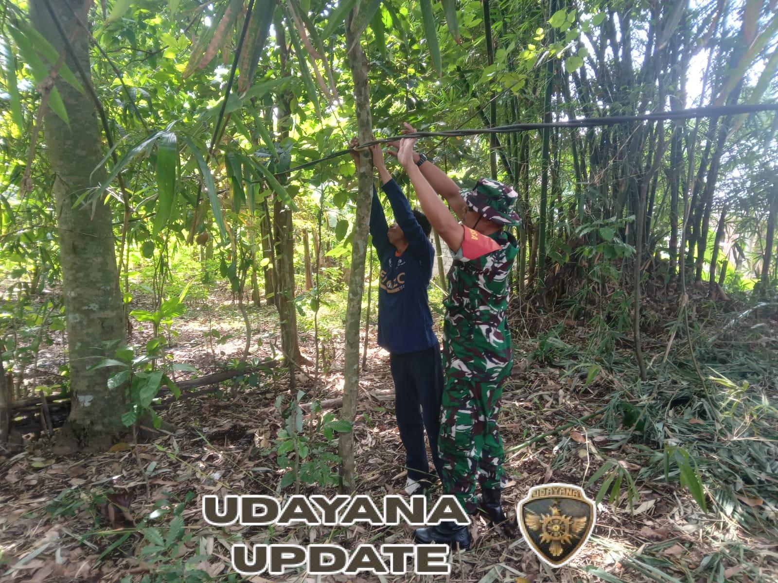 Babinsa dan Warga Wajegeseng Bersihkan Kabel Tak Bertuan untuk Mencegah Sengatan Listrik