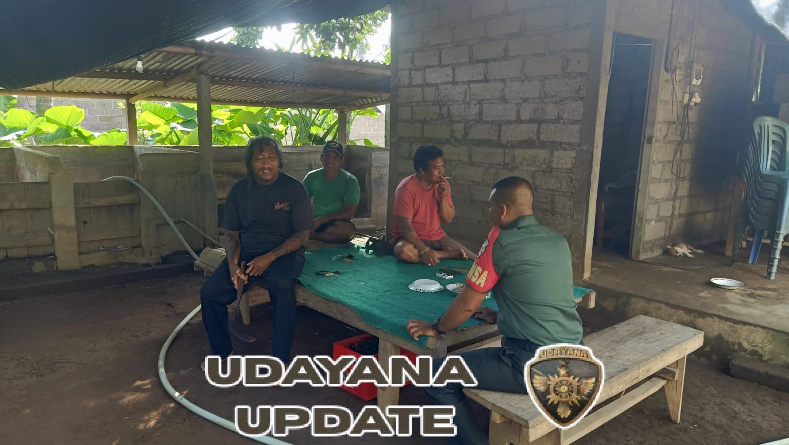 Komsos Babinsa dengan Peternak Babi, Wujud Perhatian Terhadap Masyarakat