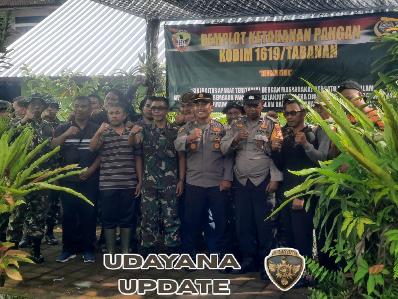 Program Hanpangan Koramil Kerambitan, Kasdim Tabanan Bersama Forkopimcam Tebar Bibit Ikan Nila