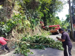 Serka I Gede Jayasa Tegas Kawal Penyaluran 5,6 Ton Beras untuk Warga Kemenuh