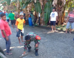 Wujudkan Kemanunggalan TNI-Rakyat, Babinsa Bantu Rabat Jalan di Desa Binaan