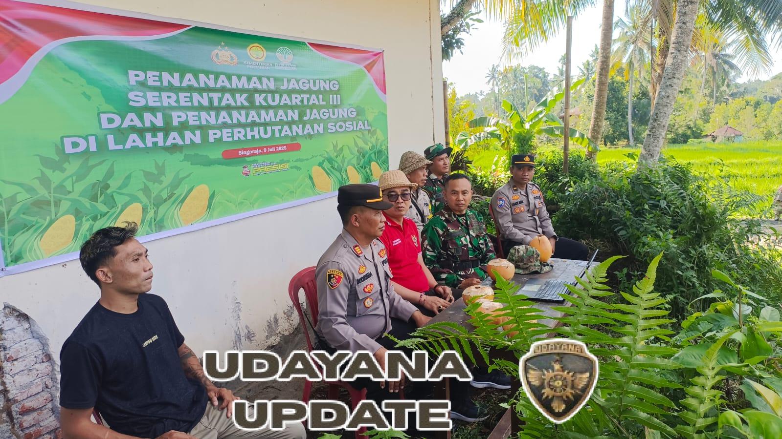 Wujudkan Swasembada Pangan, Danramil Sawan Dampingi Petani Tanam Jagung Massal