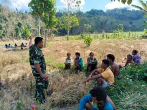 TNI Bersama Rakyat: Babinsa Kodim 1613 Sumba Barat Aktif Dukung Ketahanan Pangan