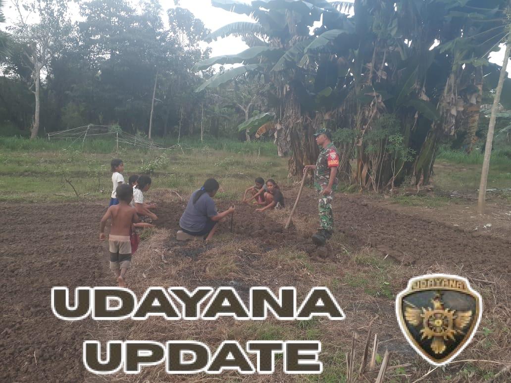 Kebersamaan Tumbuh di Ladang, Babinsa dan Warga Bergotong Royong Siapkan Tanah Tanam