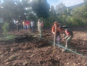Kegiatan Komsos dan Ketahanan Pangan, Babinsa Hadiri Penanaman Jagung di Detusoko