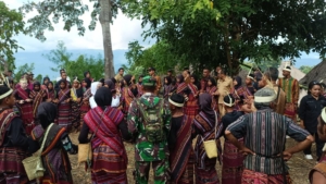 Wujud Kepedulian Budaya, Babinsa Kalabahi Hadiri Adat Ala Baloe di Desa Binaan