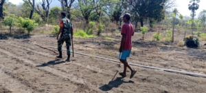 Aksi Nyata Babinsa: Gotong Royong Bersihkan Kebun Warga