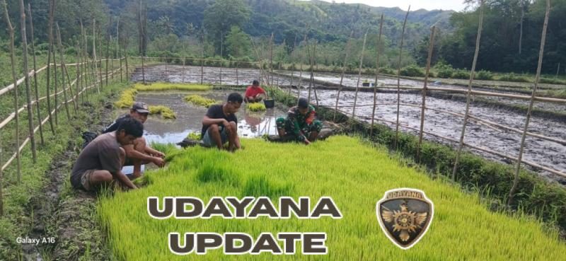 Babinsa dan Warga Desa Karita Bersatu Olah Sawah Demi Ketahanan Pangan