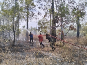Kolaborasi Babinsa 1623-08/Kubu dalam Mencegah Kebakaran Lahan Meluas dengan Pemadaman Api