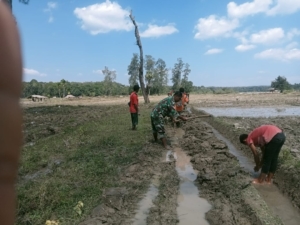 Meningkatkan Rasa Aman dan Nyaman bagi Petani, Babinsa Hadir di Sawah Desa Abi