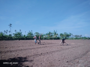 Pererat Silaturahmi, Kopda Daud Bantu Warga di Lahan Pertanian
