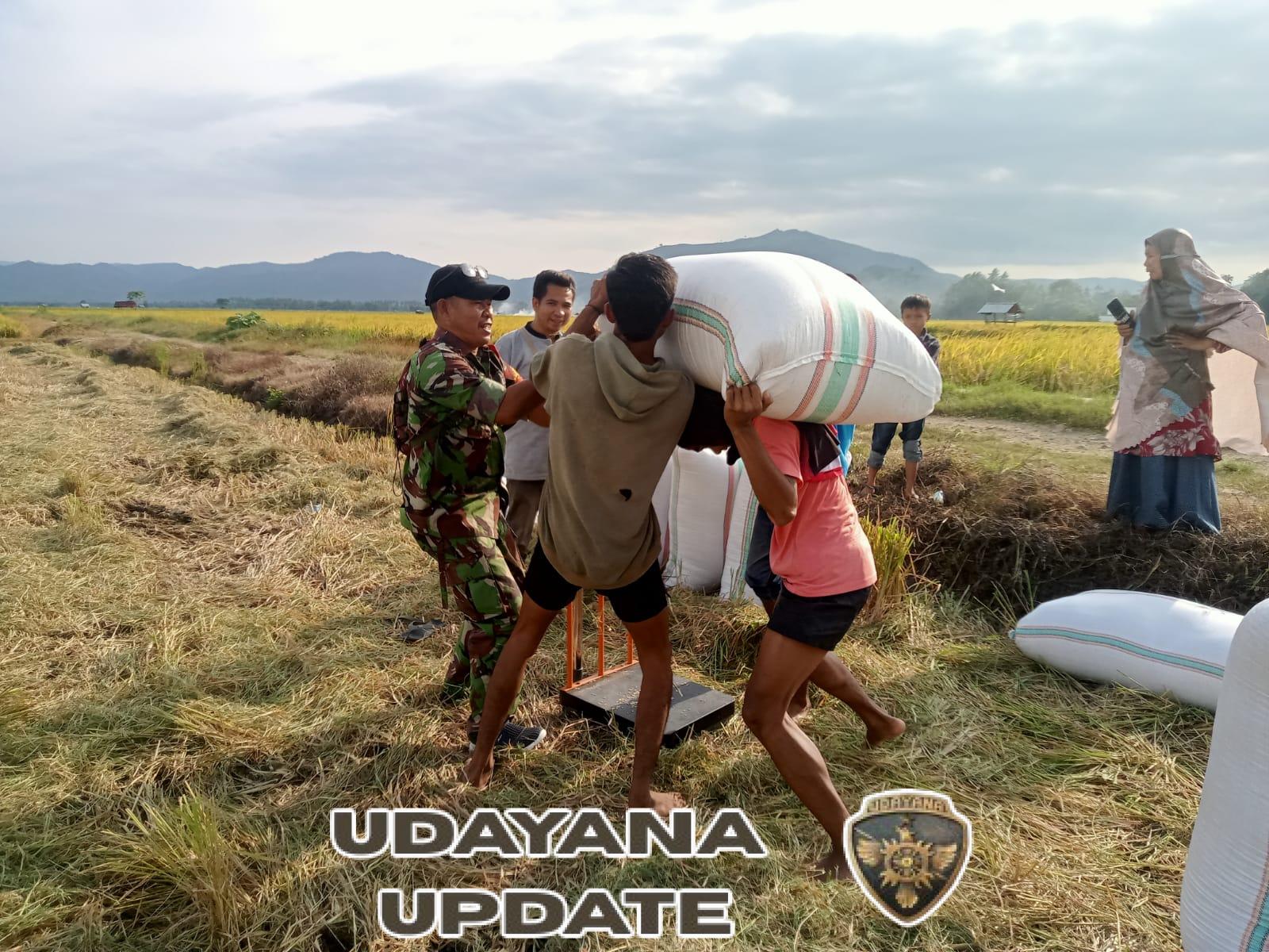 TNI Kawal Petani Bakajaya, Bulog Serap 8,9 Ton Gabah
