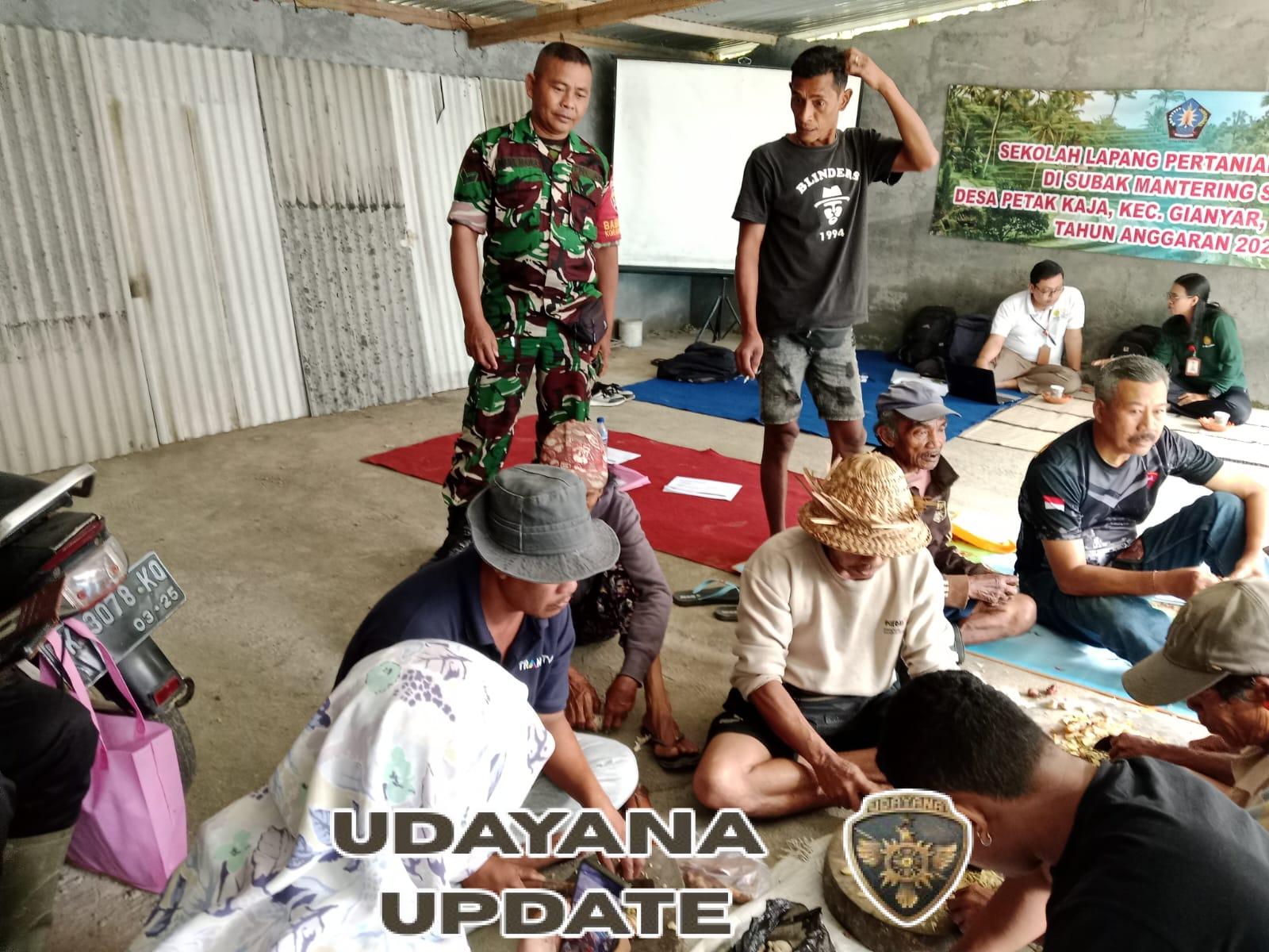 Sertu I Made Mawa Tegaskan Komitmen Babinsa Koramil 1616-01/Gianyar Dukung Pertanian Organik