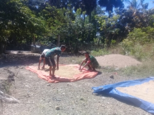 Koptu Edi Mollo: Babinsa Harus Hadir dan Aktif Dukung Ketahanan Pangan