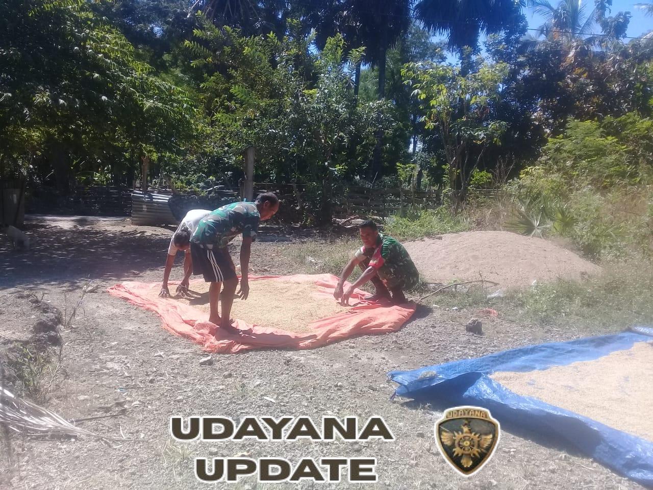 Koptu Edi Mollo: Babinsa Harus Hadir dan Aktif Dukung Ketahanan Pangan