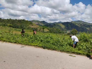 Peduli Lingkungan, Babinsa Walakaka Bersama Warga Laksanakan Pembersihan Jalan di Kabukarudi