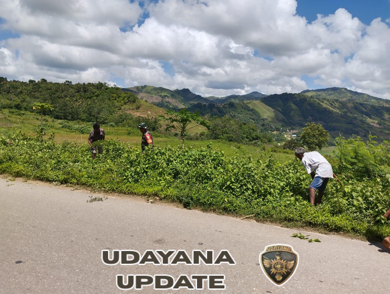 Peduli Lingkungan, Babinsa Walakaka Bersama Warga Laksanakan Pembersihan Jalan di Kabukarudi