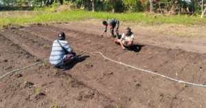 Pemberdayaan Masyarakat: Babinsa Koramil 02/Pantar Buka Lahan Tidur untuk Kemajuan Desa