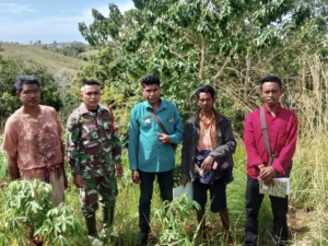 3. Babinsa dan Pemdes Laboya Barat Tinjau Batas Tanah Warga