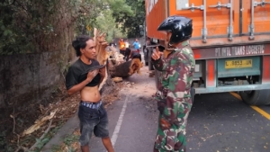 Penanganan Cepat oleh Koramil 1623-08/Kubu dan BPBD Atasi Pohon Tumbang Menimpa Truk