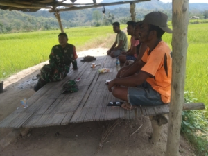 Sinergi TNI dan Petani, Babinsa Koramil 1602-02 Pantau Padi Sawah Desa Detuena