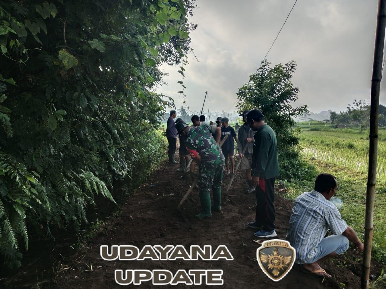 Peran Aktif Babinsa Laksanakan Gotong Royong Pembersihan Jalan Usaha Tani di Subak Puleai