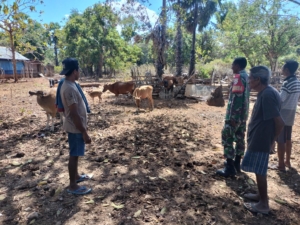 Babinsa Koptu Mesak Foeh Ajak Warga Jaga Kesehatan Ternak Lewat Komsos di Desa Tesabela