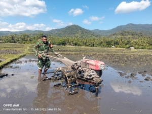 Babinsa Enda Turun Langsung Bantu Petani Hadapi Tantangan Pertanian Tahun Ini