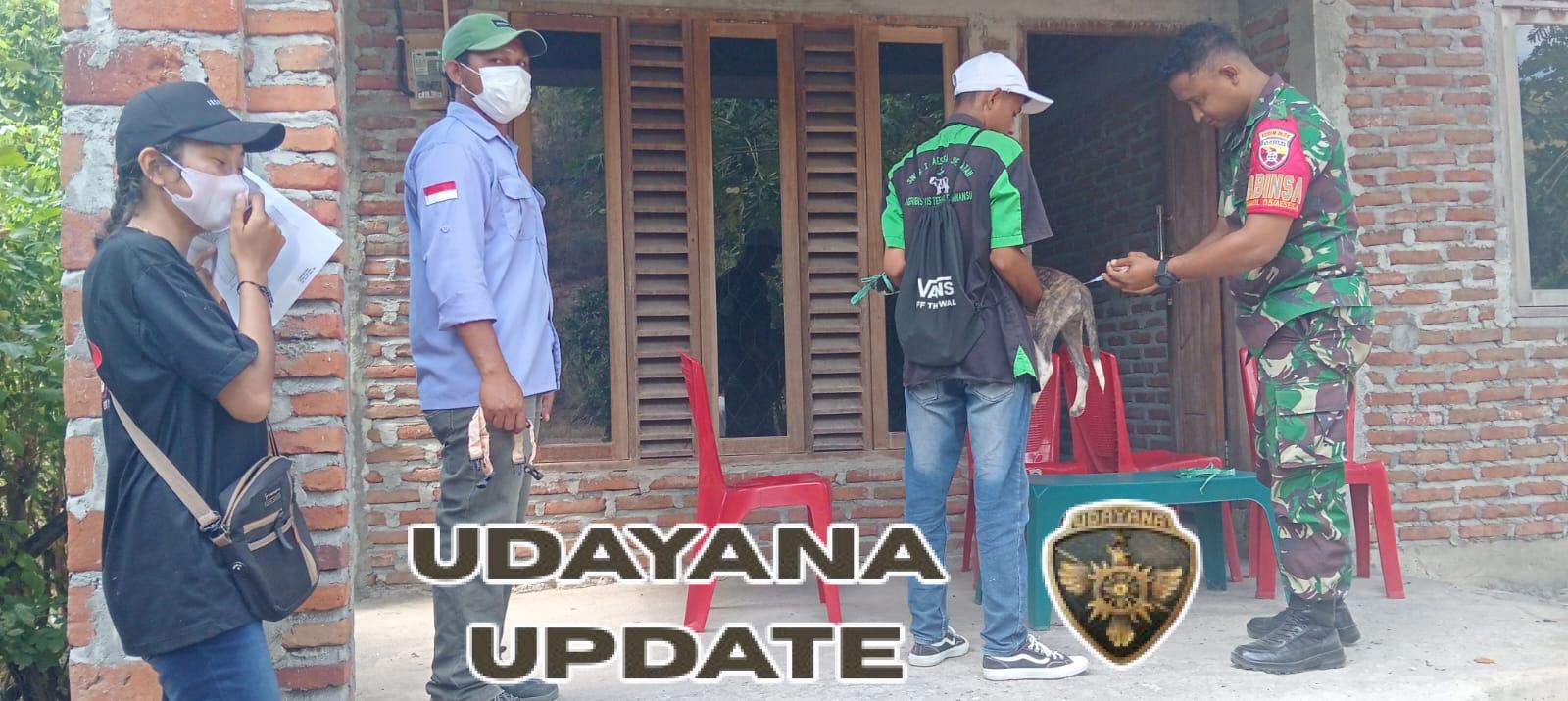 Sinergi TNI dan Dinas Peternakan Babinsa Aesesa Kawal Vaksinasi Rabies di Nagekeo