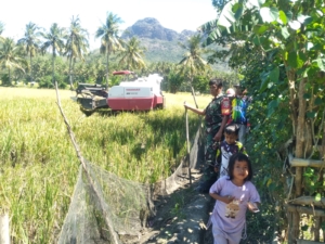 Babinsa Seteluk Kawal Langsung Proses Panen Padi Warga di Desa Desaloka