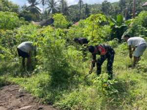 Babinsa Koramil Ende Turun Langsung Bantu Petani Singkong di Desa Ndetuzea