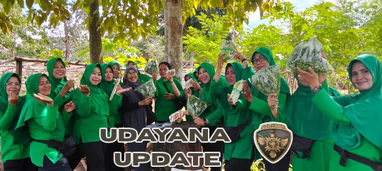 Ketua Persit Kodim Dompu Panen Hasil Pertanian Organik di Edugarden Wirabakti
