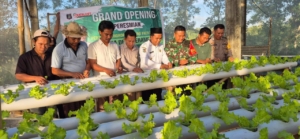 Babinsa Kerame Jati Motivasi Pemuda Budidaya Tanaman Hidroponik