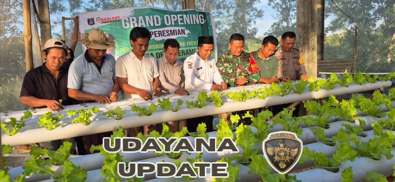 Babinsa Kerame Jati Motivasi Pemuda Budidaya Tanaman Hidroponik