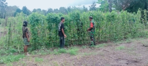 Anggota Subsatgaster Pos Pantai Tuamese Dampingi Petani, Bantu Perawatan Tanaman dan Atasi Kendala di Lapangan