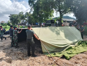 Semangat Gotong Royong, Prajurit Kodim Klungkung Bantu Persiapkan Panen Padi di Subak Gunaksa