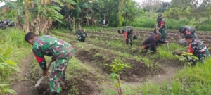Sukseskan Hanpangan, Koramil Klungkung Lakukan Perawatan Tanaman