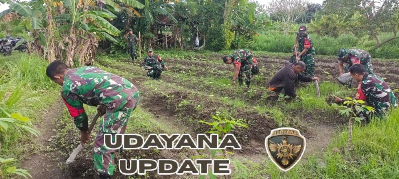 Sukseskan Hanpangan, Koramil Klungkung Lakukan Perawatan Tanaman