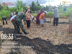 Dukung Ketahanan Pangan, Babinsa Karangasem dan Dinas Pertanian Tanam Kacang Tanah