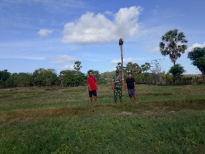 Tidak Mengenal Hari Libur Babinsa Terus Melakukan Pendampingan Kepada Petani