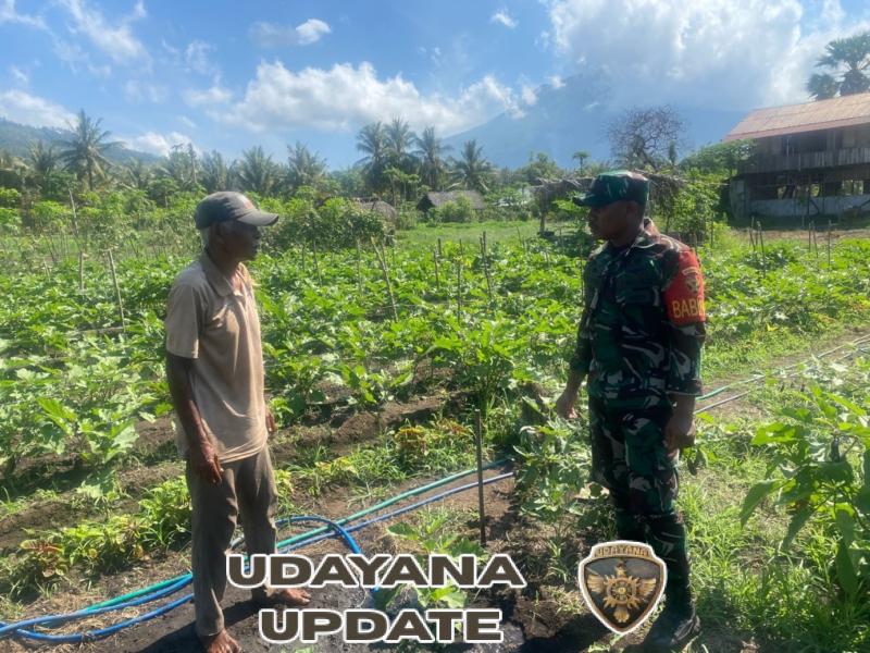 Bersama Petani, Babinsa Wujudkan Ketahanan Pangan di Desa Konga