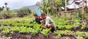 Babinsa Ajak Warga Maleipea Manfaatkan Lahan Kosong