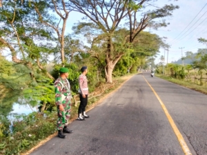 Operasi Gabungan Penertiban Kendaraan di Jalur Desa Dasan Anyar