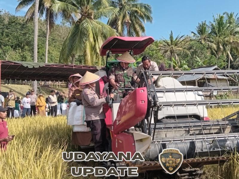 Dandim 1628/SB Letkol Inf Andri Karsa Hadiri Panen Raya di Kelurahan Sampir